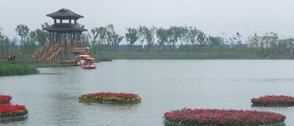 洋湖湿地公园大型花卉艺术展