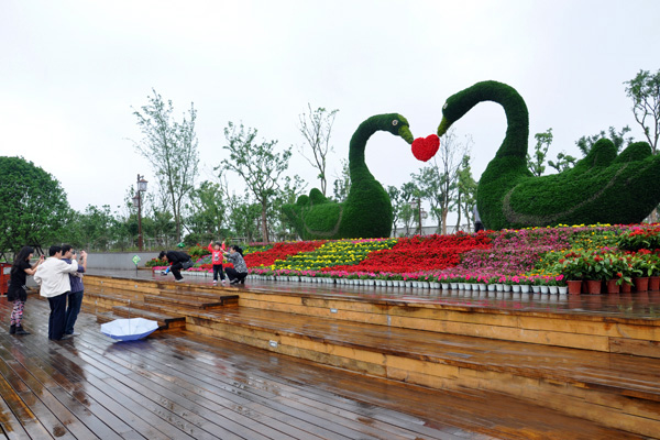 洋湖湿地公园大型花卉艺术展